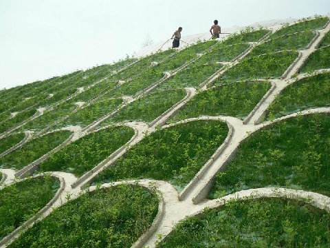中齐常年生产植生袋河道护坡工程修复生态袋现货直发详情电联
