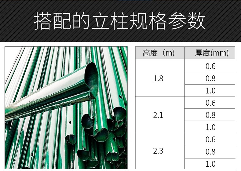 荷兰网4(0).jpg