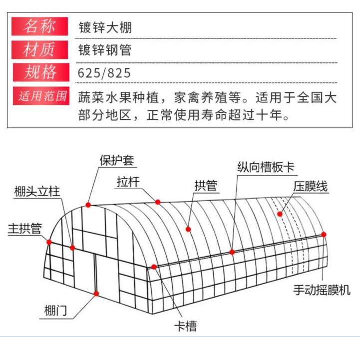 大棚种植蔬菜方案规划图片