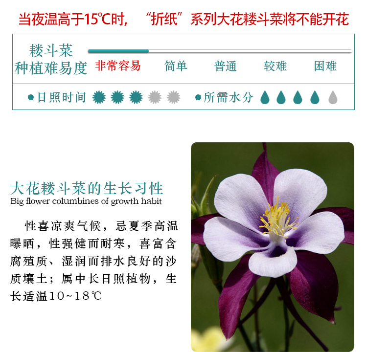 大花耧斗菜（折纸）详情页03_04.jpg