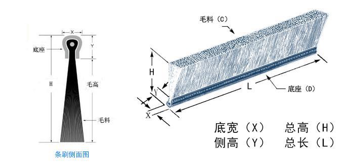 条刷尺寸图