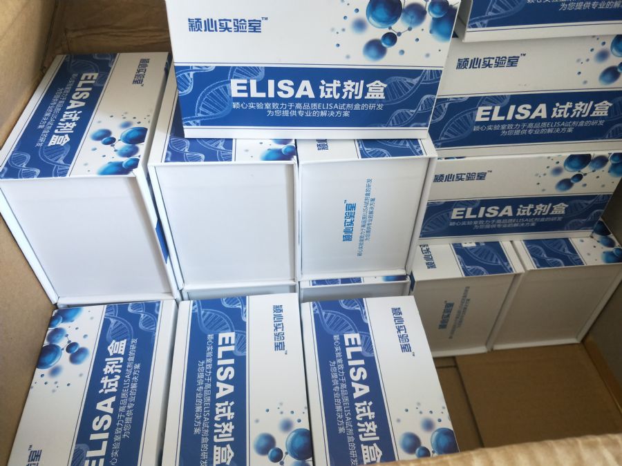 elisa试剂盒345.jpg