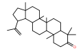 羽扇烯酮.png