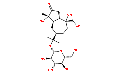 苍术苷A.png
