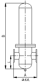 进口蒸汽过滤器1.png