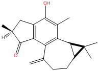 麻枫树酚酮B.png