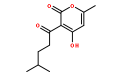 广藿香酮.png