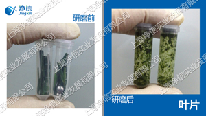 多样品组织研磨机-48