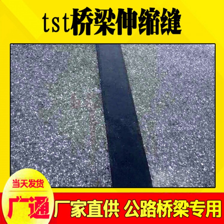 TST弹塑体伸缩缝湖南高速公路TST伸缩缝衡广通TST弹塑体伸缩缝价格