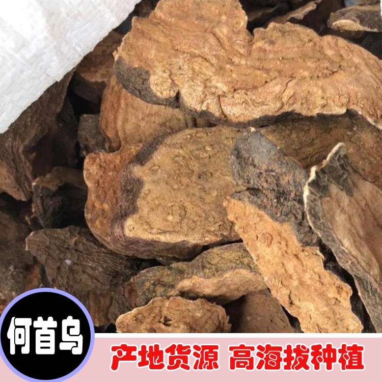 鑫燎三农 云南何首乌生产厂家 何首乌种植基地